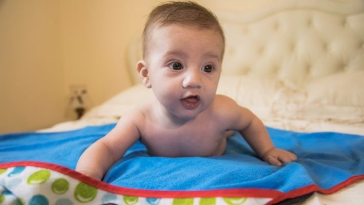 picture of Baby shoot and Portraits 
