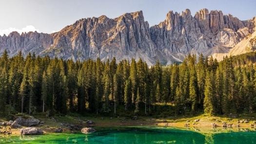 picture of Nature 
