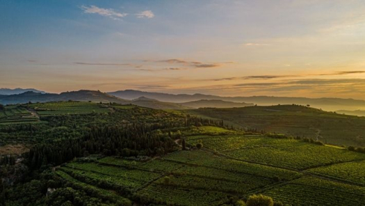 picture of Aerial photography and Drones 
