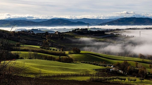 picture of Nature and Drones 