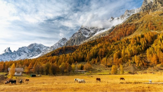 picture of Nature 