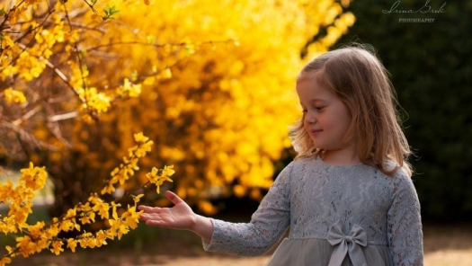 picture of Portraits and Nature 