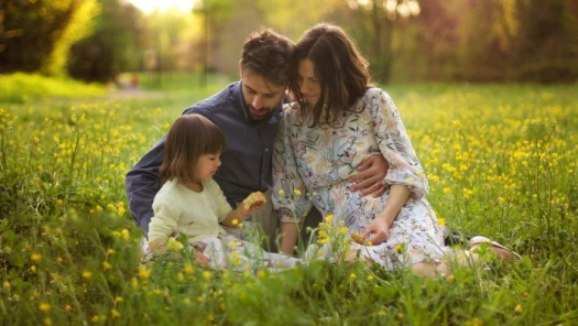 picture of Baby shoot and Family portraits 