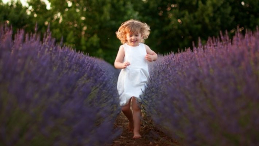 picture of Portraits and Photography 