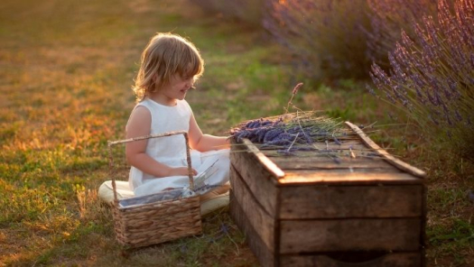picture of Portraits and Nature 