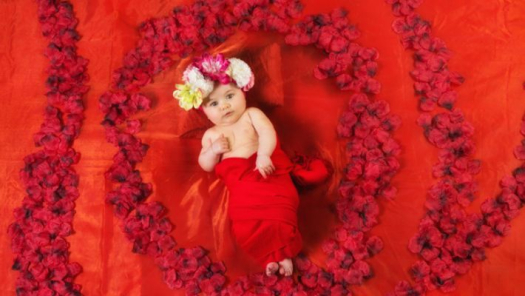 picture of Baby shoot and Family portraits 